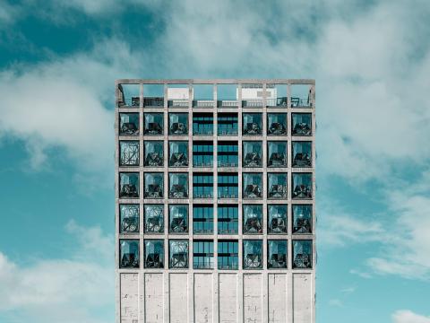 Image by Mark Brierley