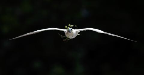 Image by Sharon Jones