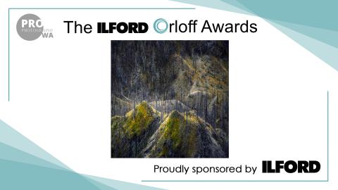 Image by Tony Hewitt