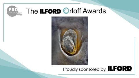 Image by Tony Hewitt