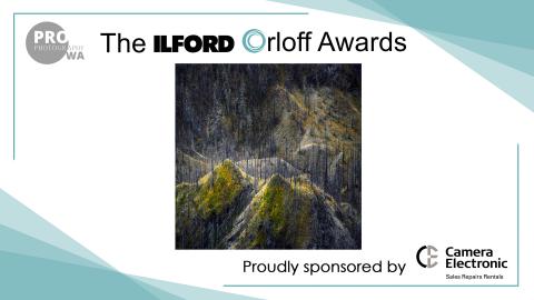 Image by Tony Hewitt